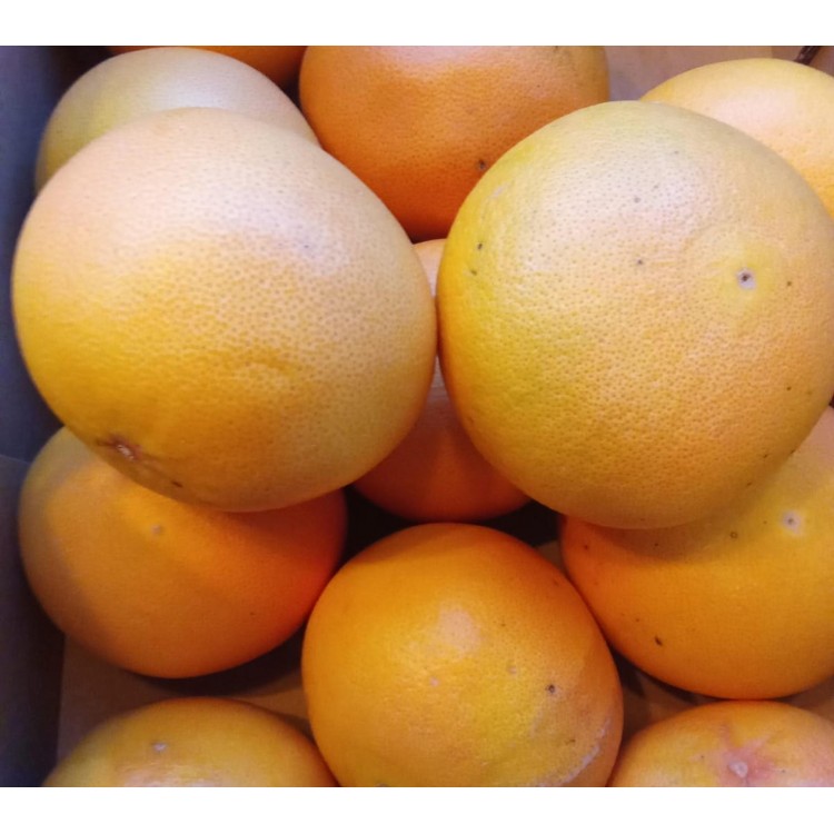 Pomelo