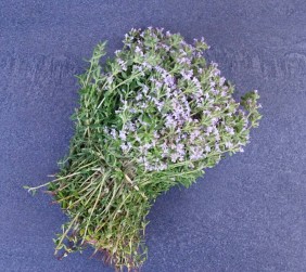 Thym frais