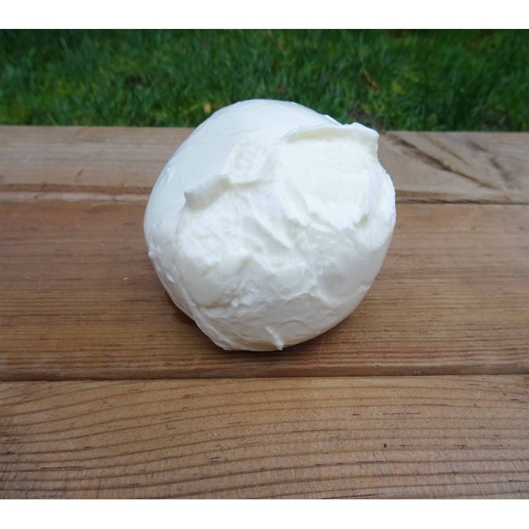 Mozzarella Mozzarella