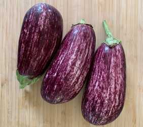 Aubergine tigrée BIO